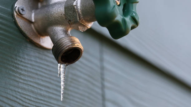 Best Same-Day Plumbing Service  in Apex, NC